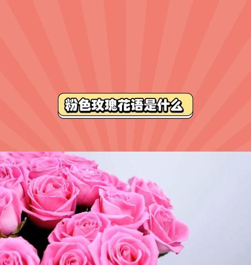 淡粉色玫瑰花语的浪漫魅力（传递爱意与美好，淡粉色玫瑰的花语之谜）