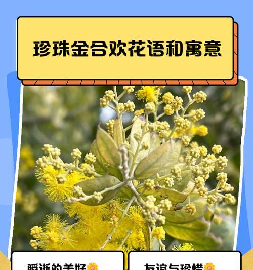 禁忌之爱（探寻代表禁忌的爱的花的美与哀）