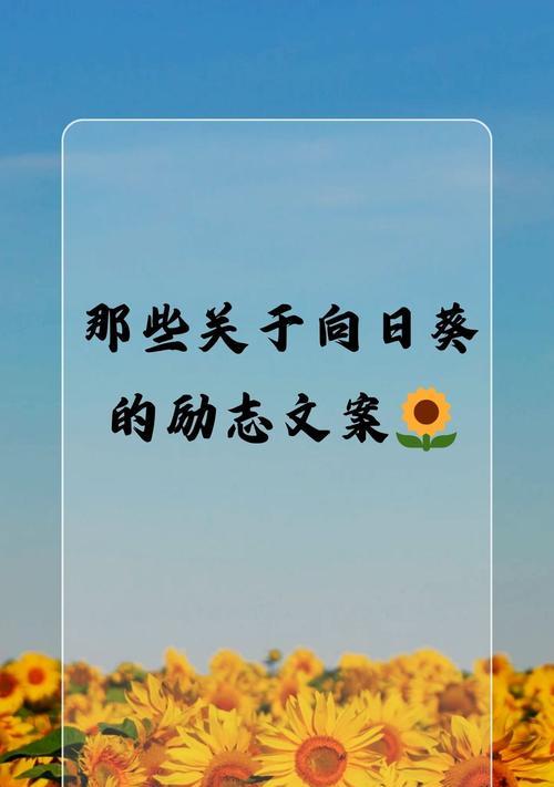 以太阳花的象征意义与精神（探索以太阳花所传达的勇气与力量）