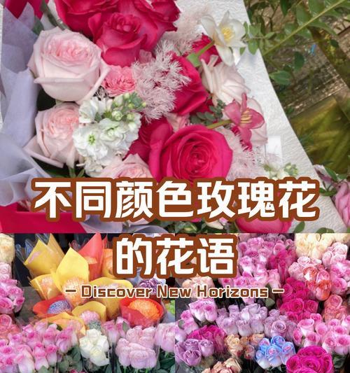 玫瑰花的花语之色彩世界（探索玫瑰花不同颜色的象征意义及内涵）