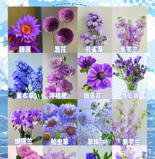 以香槟色玫瑰花代表的美好寓意（香槟色玫瑰的象征与涵义）