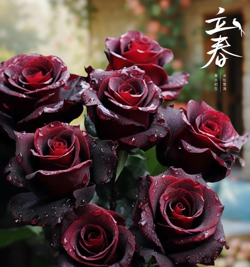 黑暗的花语——以紫藤花为主题的探索（探寻紫藤花的神秘和黑暗之美）