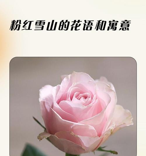 西瓜的象征意义与特殊含义（西瓜的象征与象征意义在生活中的体现）