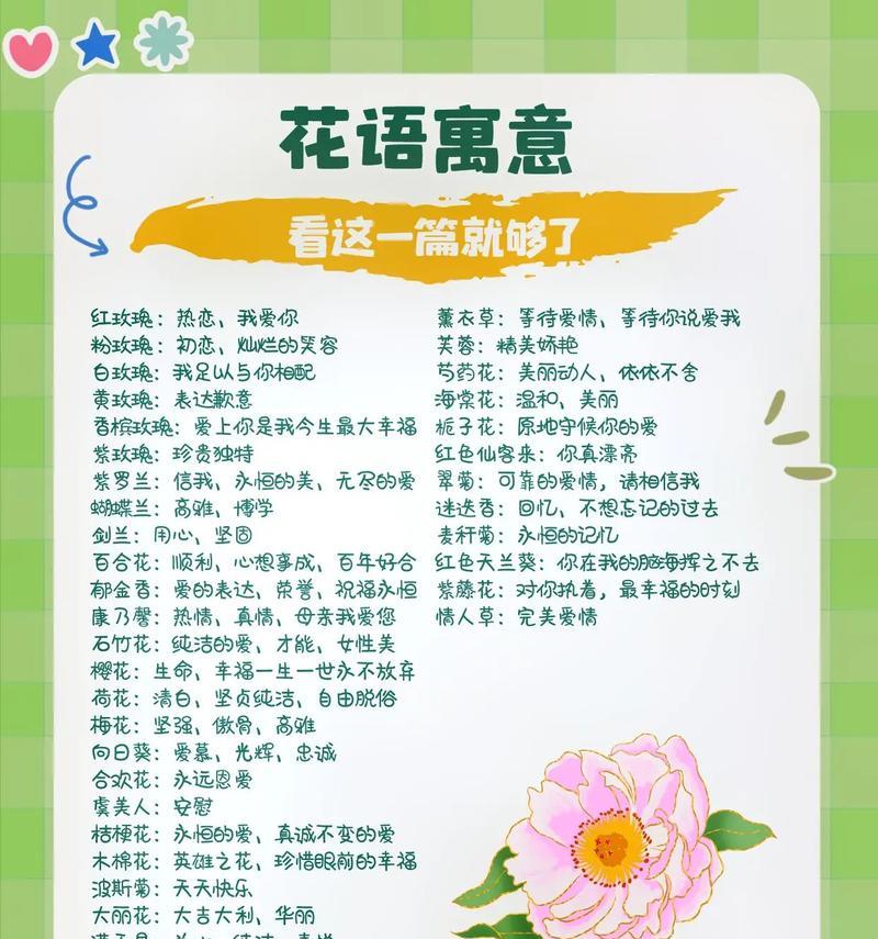 西瓜的象征意义与特殊含义（西瓜的象征与象征意义在生活中的体现）