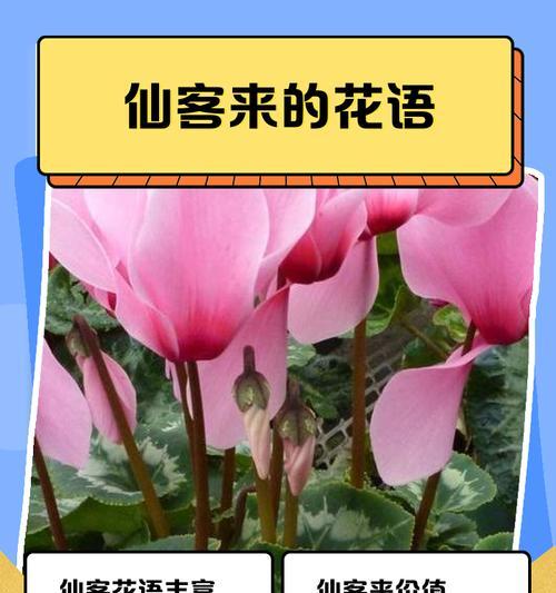 西瓜的象征意义与特殊含义（西瓜的象征与象征意义在生活中的体现）