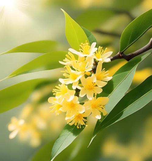 探索花的奥秘（从自然中获得力量，关注你的身体）