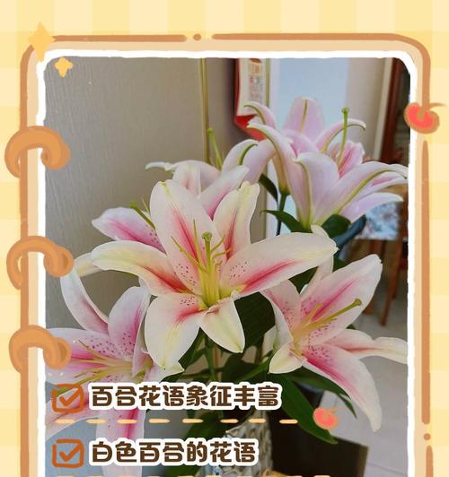 亚洲百合花语（以亚洲百合为媒介，传递真挚的情感和美好的祝福）