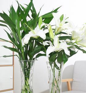 百合花与富贵竹的完美搭配（传递繁荣与吉祥的花卉组合）