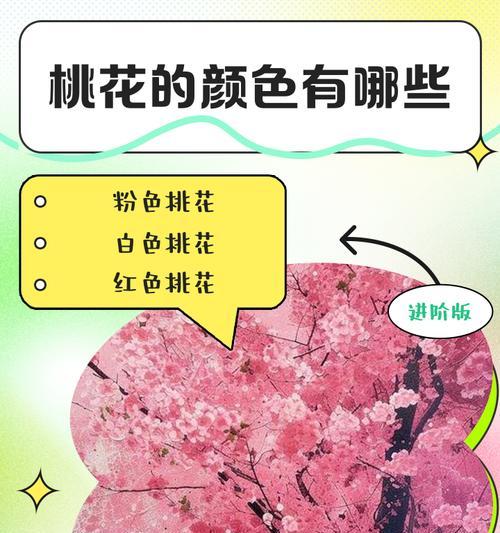 成功的花有哪些背后寓意？