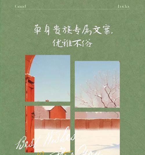 哪种花象征单身快乐？单身庆祝时应选择哪种花？