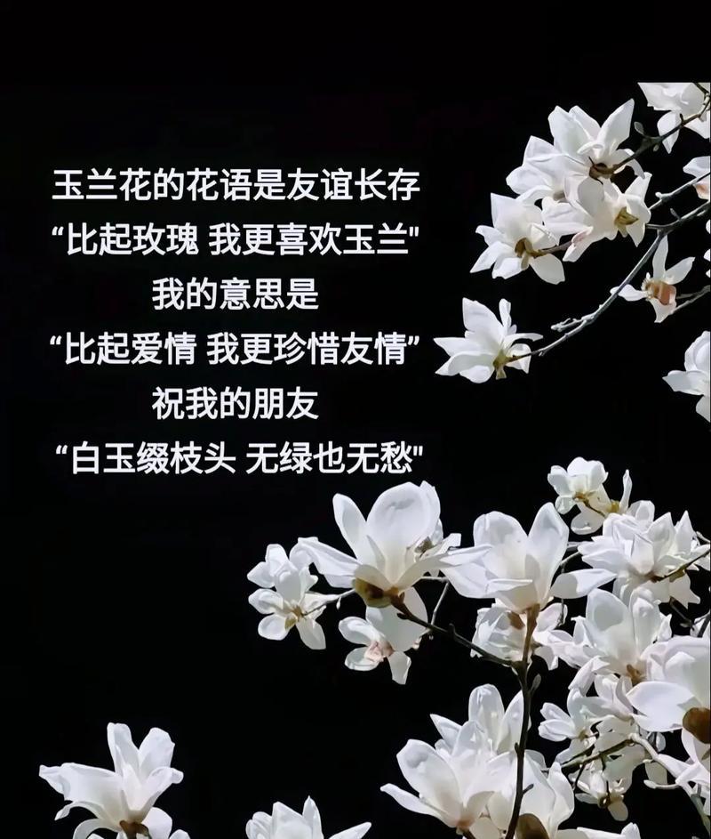 12季节花花语是什么？