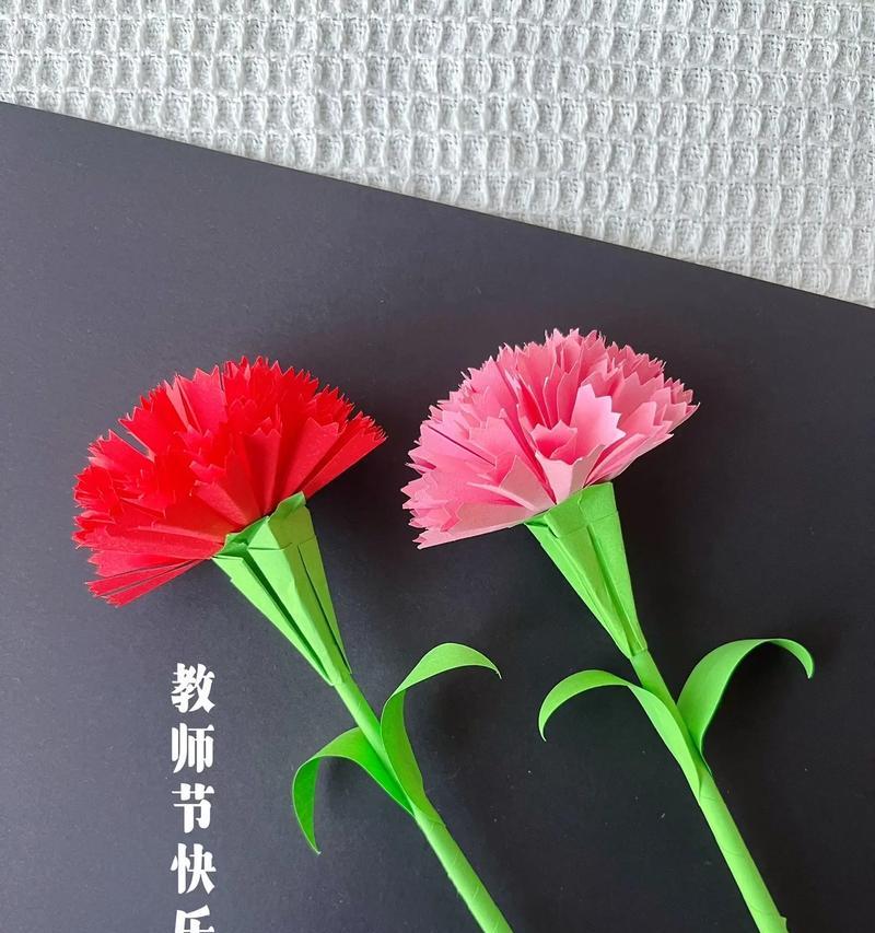 教师节康乃馨花语是什么？康乃馨在教师节的特殊含义是什么？