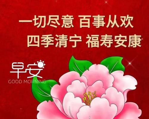 花的寓意象征祝福语句子有哪些？如何用花的寓意表达祝福？