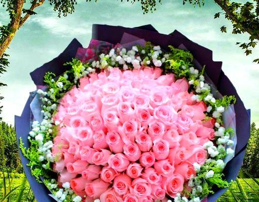 教师节适合送什么花？寓意好的花有哪些？