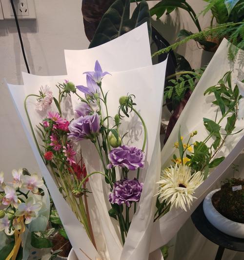 教师节适合送什么花？寓意好的花有哪些？