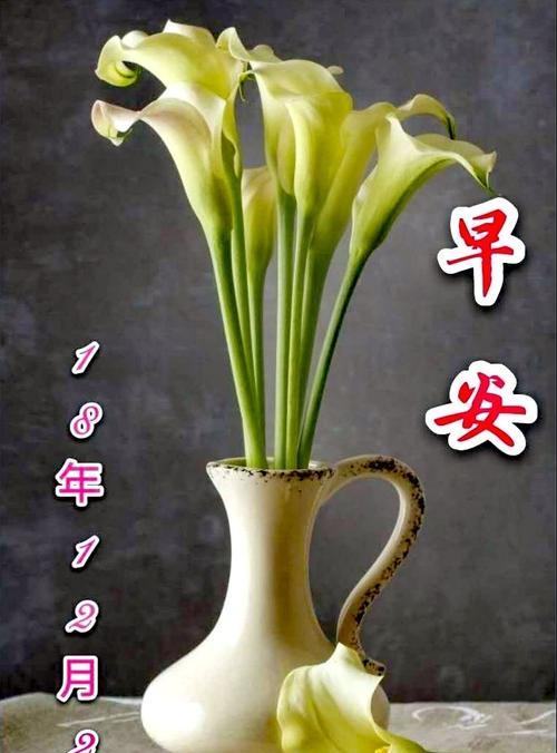 哪些花寓意平安快乐？它们各自代表了什么？