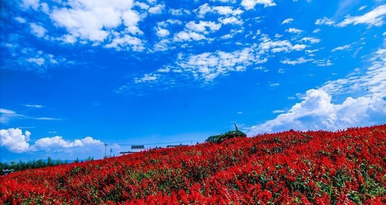 花语牧场最佳旅游季节是何时？