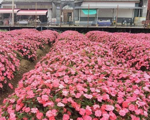 花语牧场最佳旅游季节是何时？