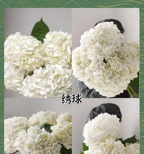 白色花系通常代表什么？它们的寓意是什么？