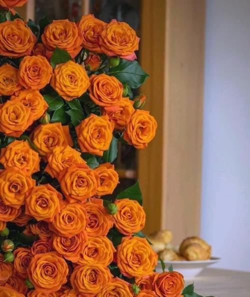 橙色花朵代表什么？哪些花象征温暖？
