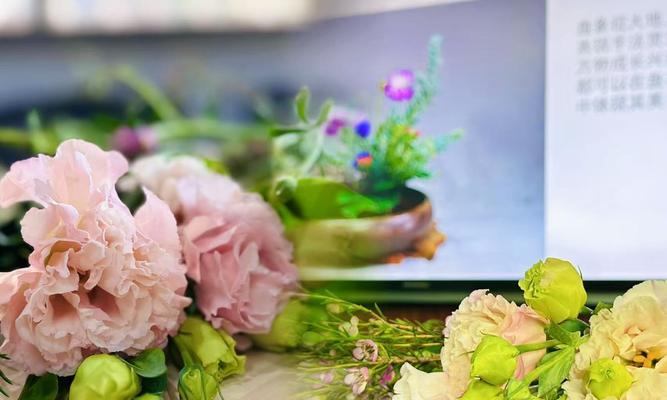 情人节盘花代表什么？情人节盘花的花语是什么？