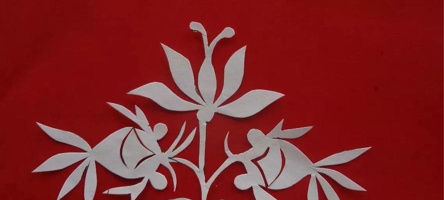 老人送老鞋花的寓意是什么？送老鞋花好吗？