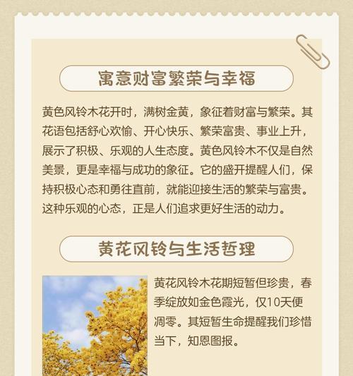 黄色花送朋友过生日有何寓意？它们代表了什么？