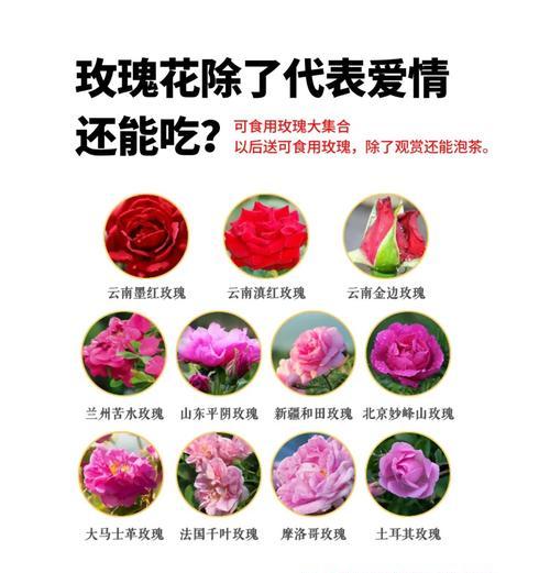 七月哪些花象征爱情？如何挑选？
