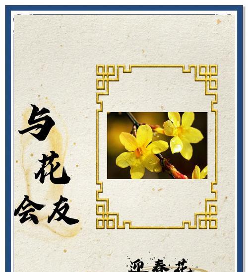 黄色与白色花共同代表什么寓意？