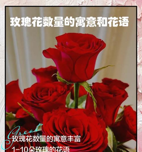 三种颜色搭配玫瑰花的寓意是什么？