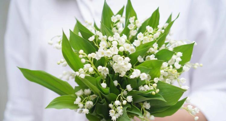 铃兰手捧花代表什么？铃兰手捧花的经典寓意是什么？