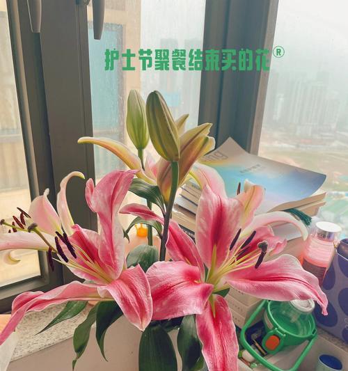 护士节有哪些花具有特殊意义？