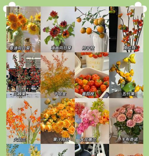 什么花寓意爱情长久？寻找代表永恒爱情的花卉。282