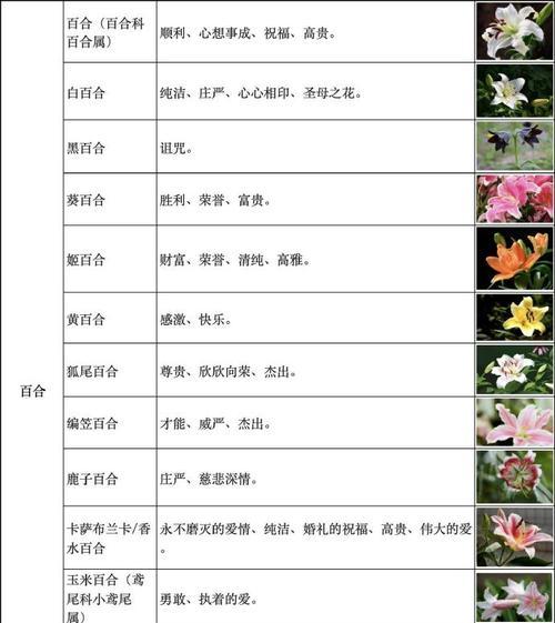 哪些花的花语代表特定的季节？如何选择？