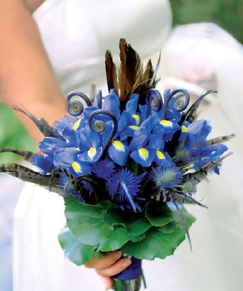 蓝色扇子手捧花有何寓意？蓝色扇子花语是什么？