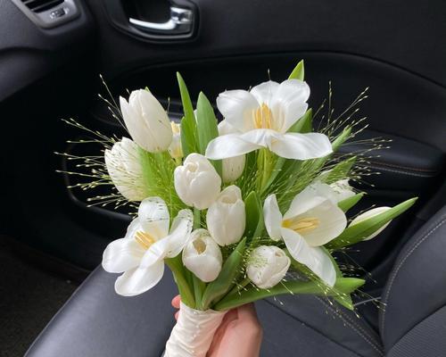 手捧花什么颜色寓意最好？如何选择寓意吉祥的手捧花颜色？