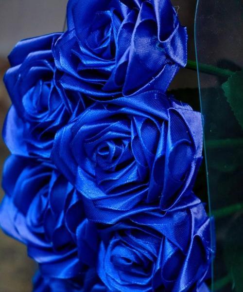 蓝色象征自由的花有哪些？蓝色花卉的自由花语是什么？