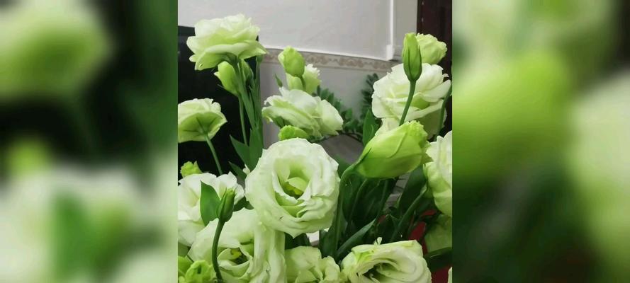 洋桔梗绿色的花语是什么？绿色花束的特别含义是什么？