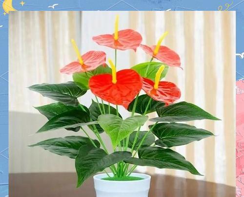 哪种颜色的花象征着发财？