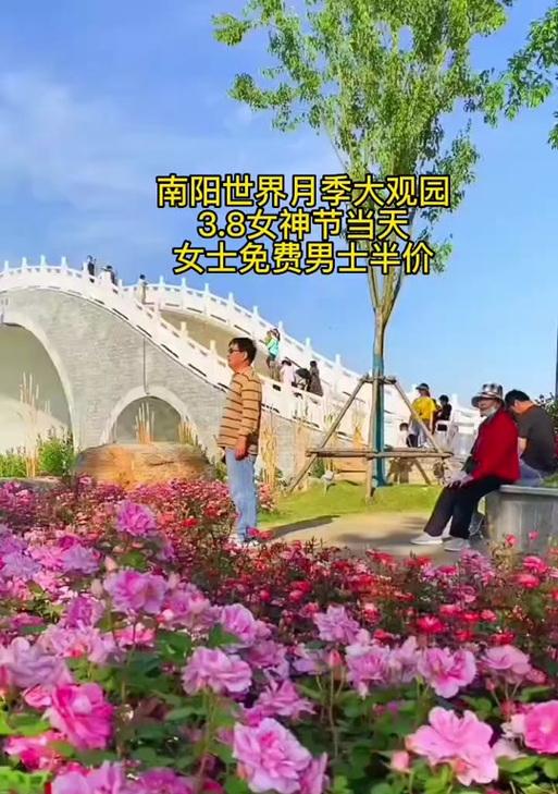 三八妇女节送月季花有何特殊含义？