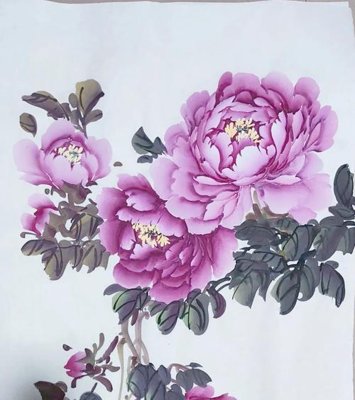 哪种花象征吉祥寓言？吉祥寓言花的寓意是什么？