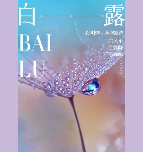 白露时节的花语是什么？白露对应的花语有哪些？