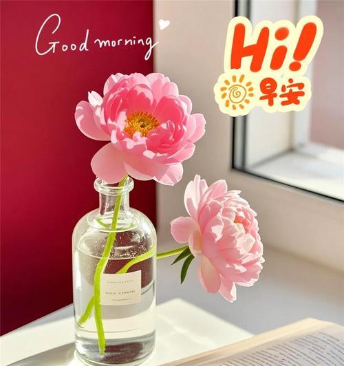 哪种花寓意祝你岁岁平安？含义是什么？