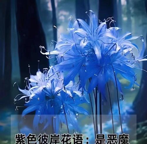 百色花代表了什么意思和寓意？