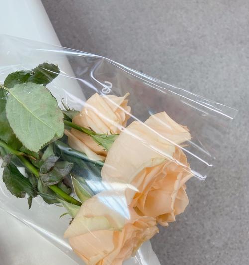 两种颜色的花组合代表什么含义？如何解读？