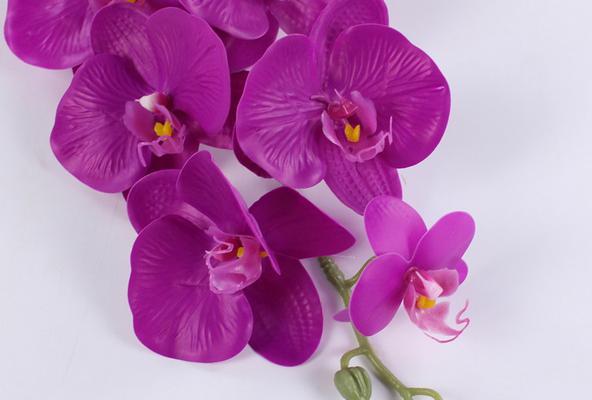紫色假花有何寓意？装饰性假花的含义是什么？