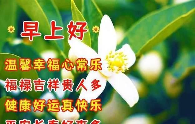 哪种花寓意平安顺意？平安顺意的花有哪些？