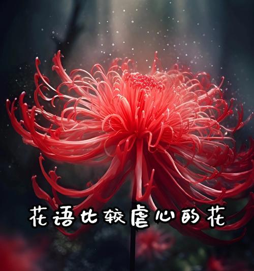 红色花的花语是什么？很美的红色花代表什么？