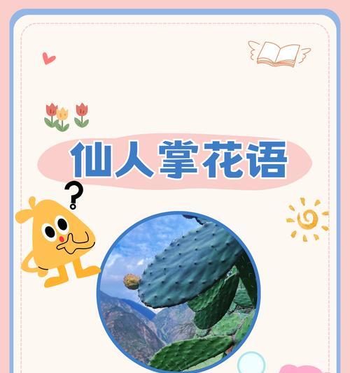 希望的颜色花语是什么？哪种花象征希望？