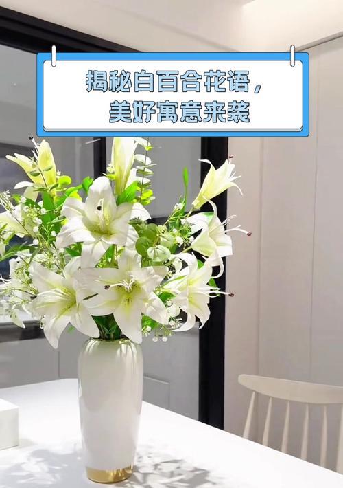 白色百合花代表什么？白色百合花的寓意是什么？